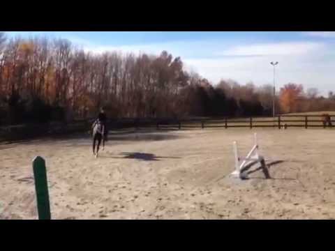 Raven flat Raven flat