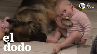 Perrito ama ser el hermano mayor de esta niña