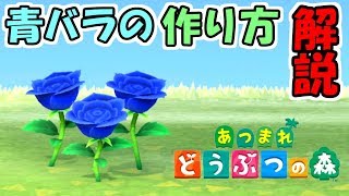 あつ森 サルでも分かる 青バラの作り方解説 遺伝子情報説明付き あつまれどうぶつの森 Youtube