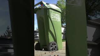 Spring waste collection schedule starts