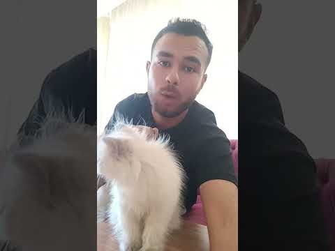 عيالي خط احمر ام خالد عيالي