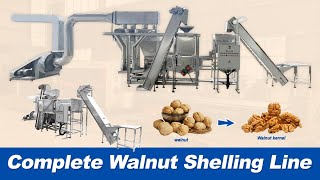 Walnut Kernel Shelling Machine|Stainless Walnut Peeling Machine|Complete Walnut Sheller Machine Line