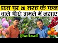   20          20 fruit plant in terrace garden