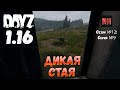 DayZ 1.16 Сервер БДСМ: Сезон №12 , серия №9 - Дикая стая! [4К]