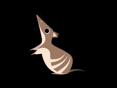 Bandicam Live Stream