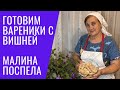 ВЛОГ: ГОТОВИМ ВАРЕНИКИ С ВИШНЕЙ / Поспела малина / У нас дожди / Загородная жизнь на юге