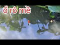 Câu trúng ổ cá rô mề ú nu kéo phao liên tục giật đã tay || perch fishing