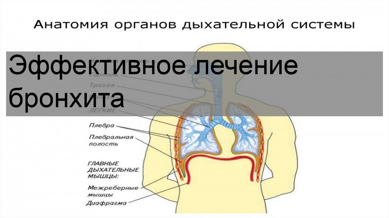 Эффективное лечение бронхита - YouTube