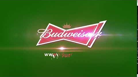 401 v6 c3  -  Color Scheme corporate Logo Reveal animation intro any colors