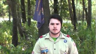 NYLT Promo