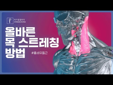 목 스트레칭과 디스크의 관계