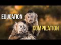 Education Compilation - Dean Schneider