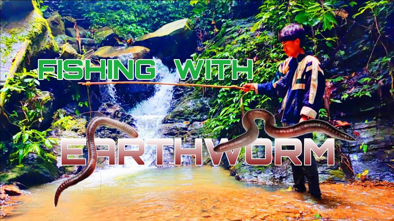 Fishing with Earthworm 🪱 - YouTube