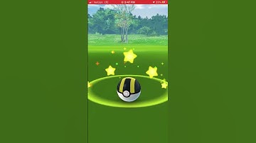 Catching a Shiny Eevee in the wild in Pokémon Go #pokemongo #shiny #pokemon #epic