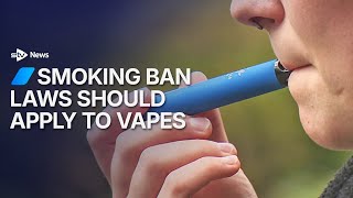 Former FM calls for smoking ban laws to apply to vaping screenshot 2