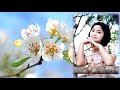 春を待つ花 Budding in Spring アジアの歌姫 鄧麗君 Teresa Teng テレサ・テン