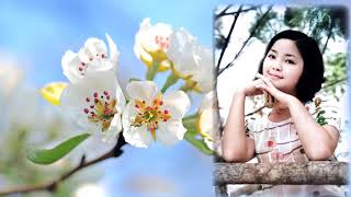春を待つ花 Budding in Spring アジアの歌姫 鄧麗君 Teresa Teng