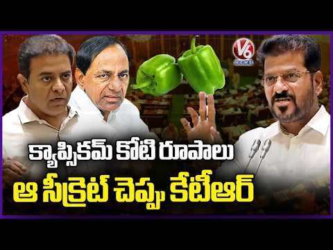 How KCR Earns Crores from Capsicum ? We Just Wants To Know The Secret : CM Revanth Reddy | V6 News - V6NEWSTELUGU