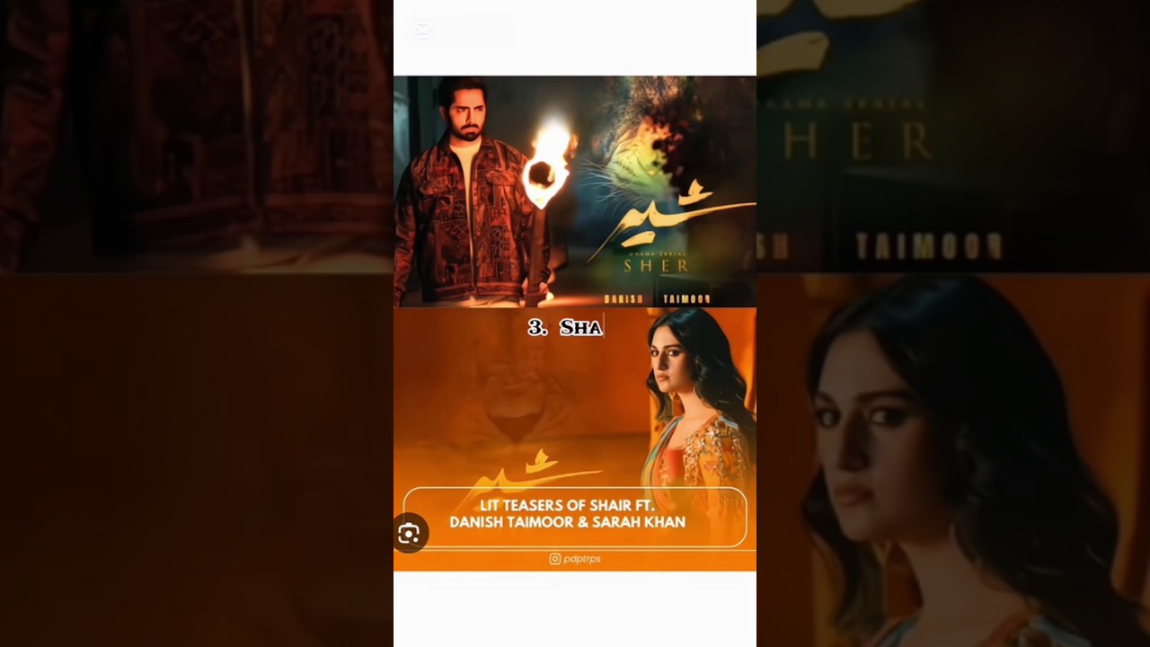 TOP 5 BLOCKBUSTER PAKISTANI DRAMAS OF 2025 