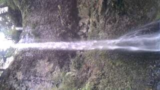 Silver falls may 2014