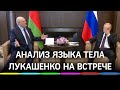 Анализ языка тела Лукашенко на встрече с Путиным - как прошли переговоры в Сочи