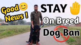 Good News ! 😊 Stay On Breed Dog Ban 🚫 | Breed Dog Ban | Vlog With David #rottweiler #dogban #dog