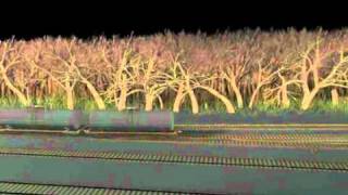 Train animation
