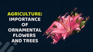 FLORICULTURE AND THE IMPORTANCE OR USE OF ORNAMENTAL PLANTS- Part 3