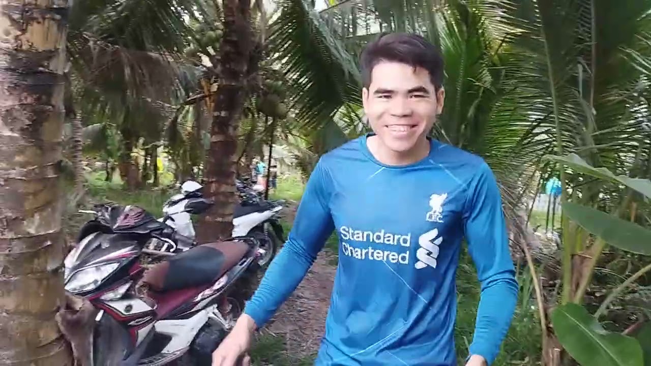 Thu hoạch dưa hấu 2026