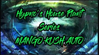 Spider Farmer Series: Hypno's House Plants - Mango Kush Auto w/ #sf1000  (S1 E1) #ledlights