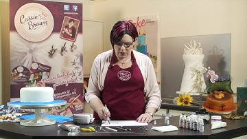 Airbrushing water effects onto sugar with Cassie Brown - Part 2