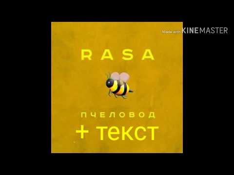 RASA - Пчеловод (Lyrics, Текст).