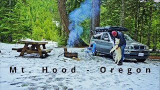 Solo snow camping with my dog in Oregon | Overlanding BMW X5