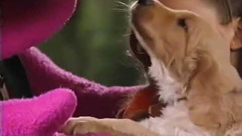 Camp WannaRunaRound (2002 Version) Part 38