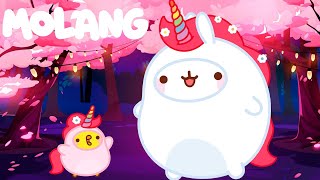 Molang 🐰 THE CYCLOPS 🎆 サイクロプス 🐾 Cartoon For Kids ⭐ Super Toons TV アニメ