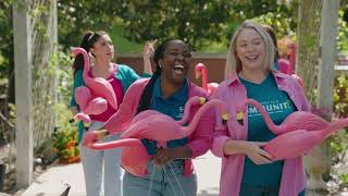 Make an Impact with First Commerce Credit Union's #FlamingoChallenge