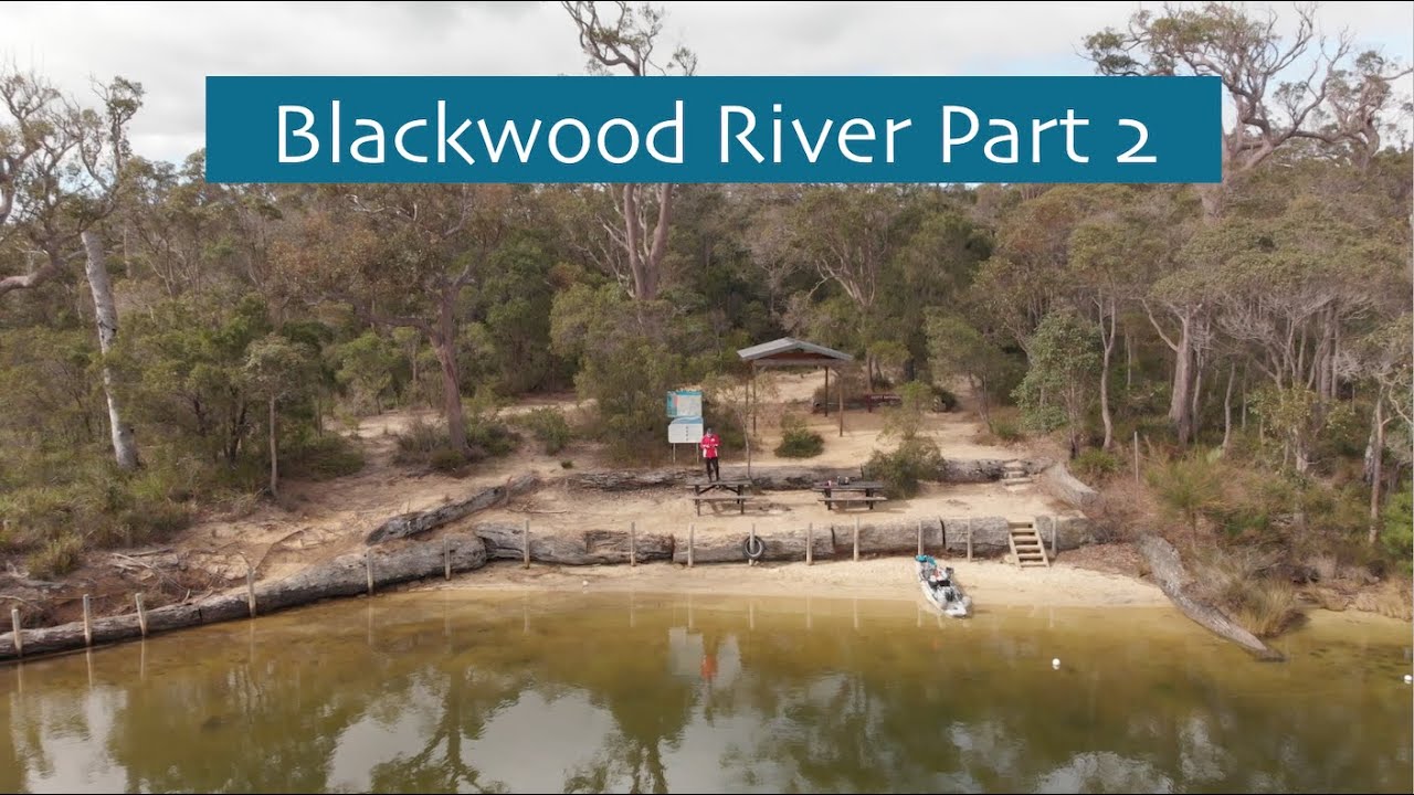 I caught OVER 100 fish! Fishing the Blackwood River YouTube