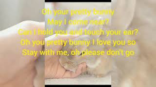 Rabbit Song/Bunny Bunny Bunny ,You are so Funny Resimi