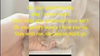 Download lagu Rabbit Song/Bunny Bunny Bunny ,You are so Funny