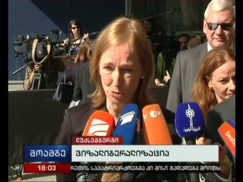 ვიზალიბერალიზაციასთან დაკავშირებით გადაწყვეტილება