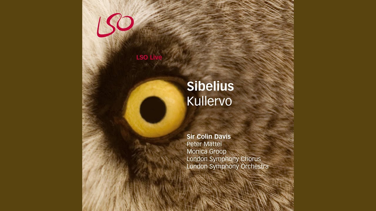 Kullervo, Op. 7: IV. Kullervo Goes to Battle