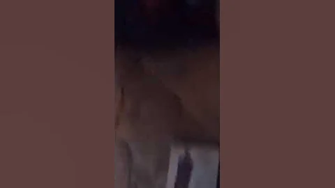 A Simple Twist of Fate DVD