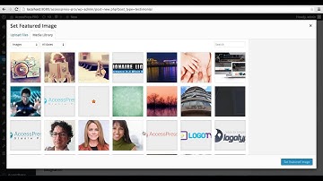 AccessPress Staple Pro - Setting up Testimonial, Feature, Google Map and Call To Action with Form