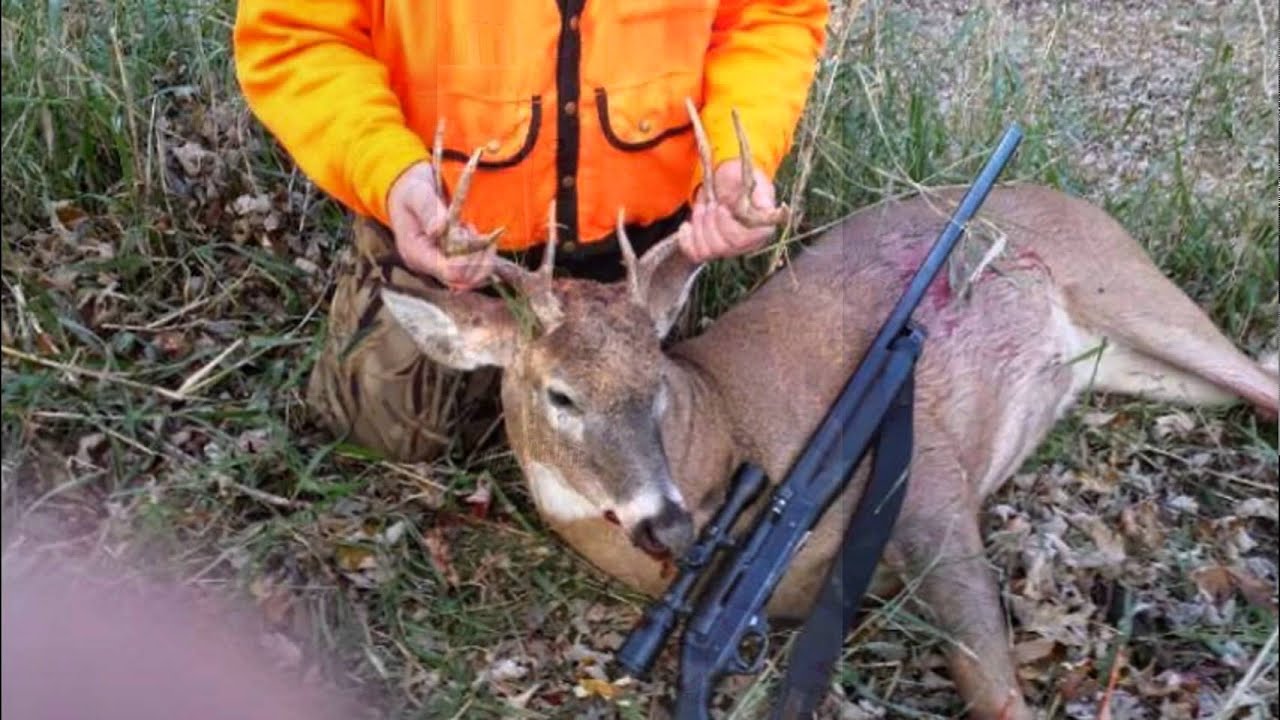 Deer Hunting 2014 YouTube