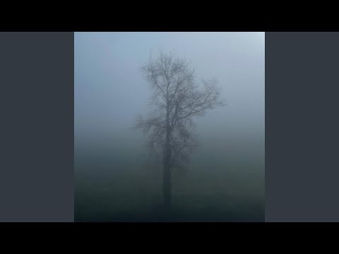 Poison Tree (Ambient Rework) – Slowed
