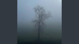 Poison Tree ambient Rework  Slowed