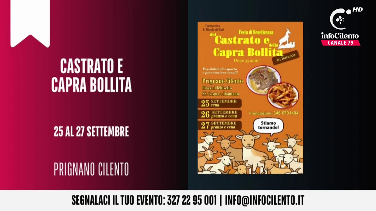 TG INFOCILENTO 24 SETTEMBRE 2026 edizione serale