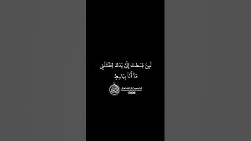 ماهر المعيقلي - سورة المائدة ( برواية حفص عن عاصم ) الأية 28