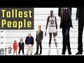 The worlds tallest people  the lowest and highest people in history  world info