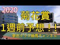 【1週前予想】2020菊花賞！今年はタフな馬場も鍵になりそう！コントレイルは？